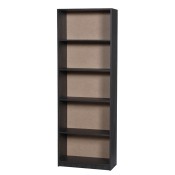 Bookcases & Shelves